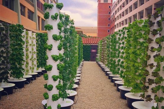 Urban Farming Solutions