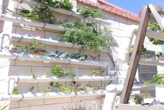Rooftop Farming