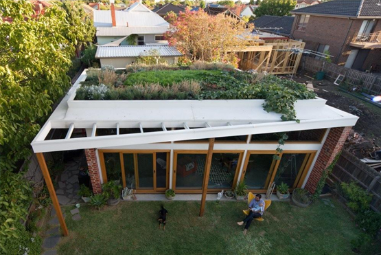 Green Roofs